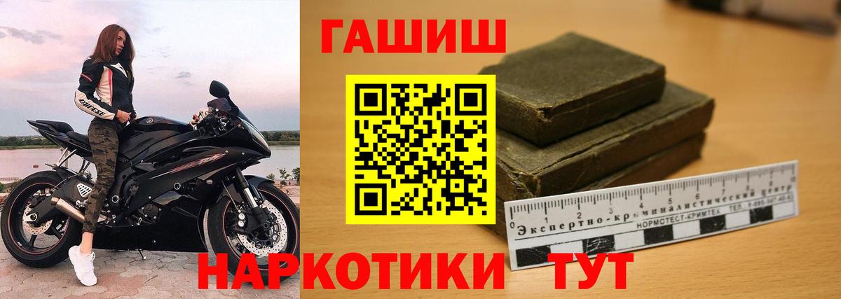 ГАШ гарик Дмитров